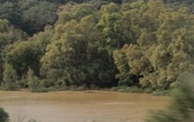 a7415586-1d87-46d1-ad6e-f3e9ef84d048