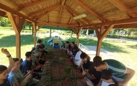 Grupa 17 uczni&oacute;w z kluczami do oznaczania gatunk&oacute;w roślin zielnych i okazami zebranymi podczas marszu