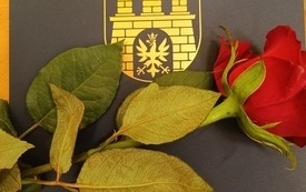 R&oacute;ża leżąca na teczce z logo szkoły