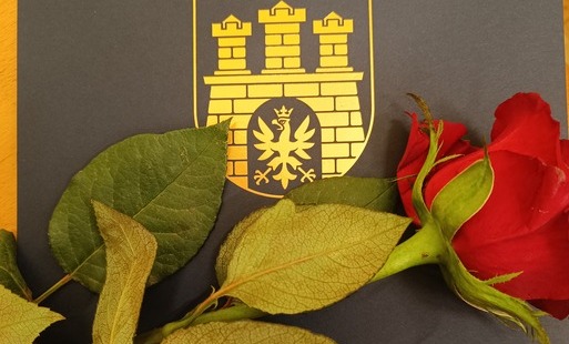 Róża leżąca na teczce z herbem miasta